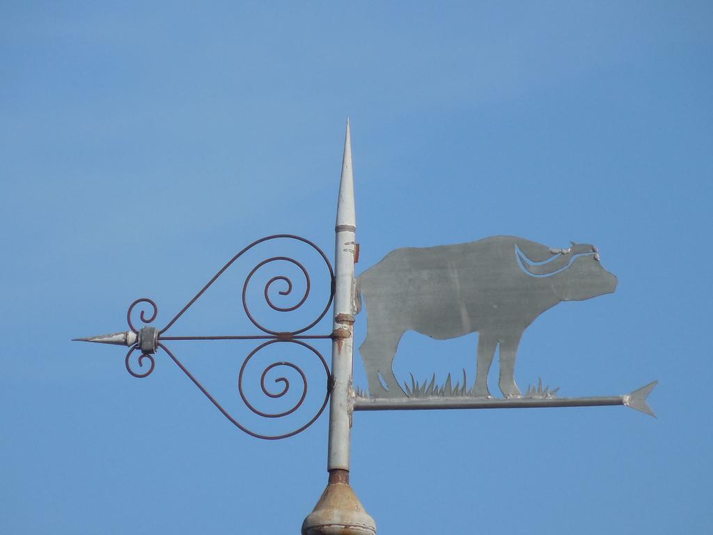 Gite De Carbonies Saint-Félix-de-Lunel エクステリア 写真