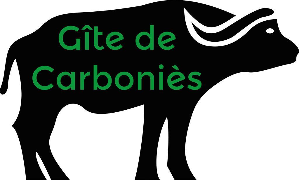 Gite De Carbonies Saint-Félix-de-Lunel エクステリア 写真